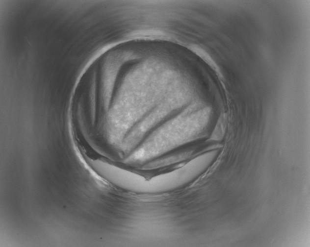 X0000068821440200605191822