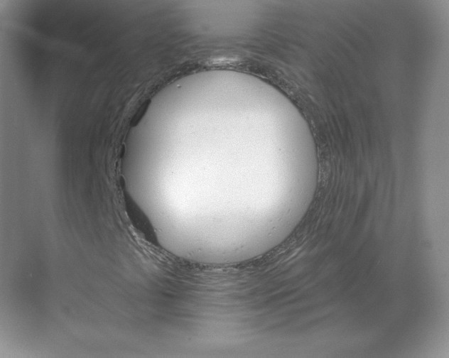 X0000068821441200605191821