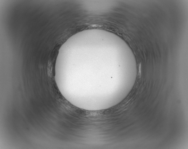 X0000068821443200605191821