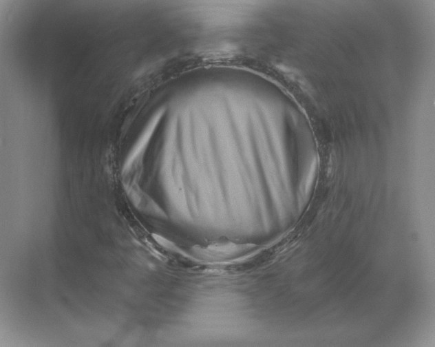 X0000068821445200605191821