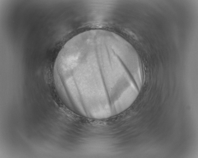 X0000068821446200605191821