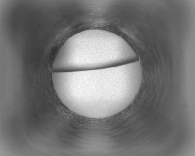 X0000068821447200605191821