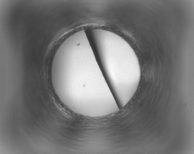 X0000068821448200605191821