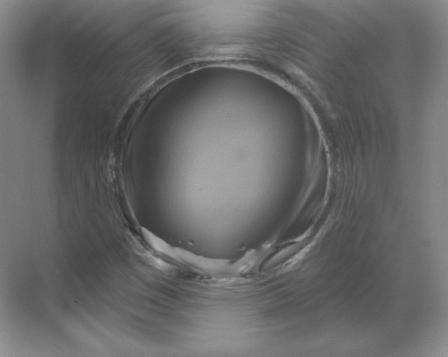 X0000068821449200605191821