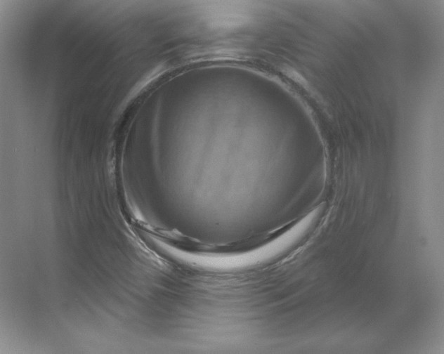 X0000068821450200605191821