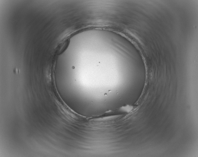 X0000068821451200605191821