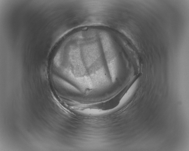 X0000068821452200605191821