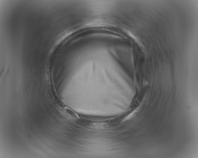 X0000068821453200605191821