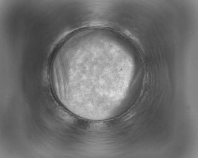 X0000068821454200605191820