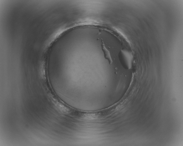 X0000068821455200605191820