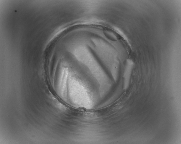 X0000068821456200605191820