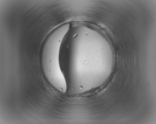 X0000068821457200605191820