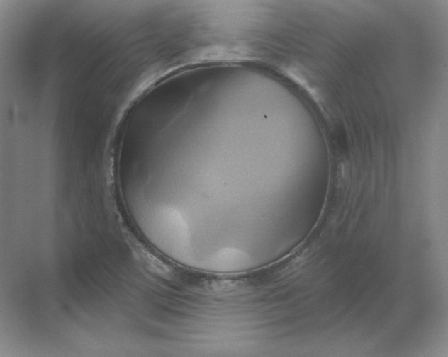 X0000068821459200605191820