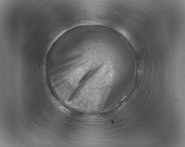 X0000068821460200605191820