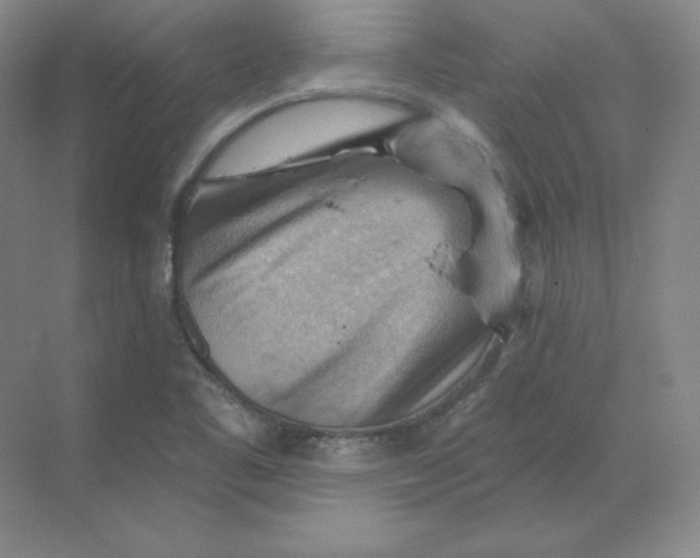 X0000068821461200605191820