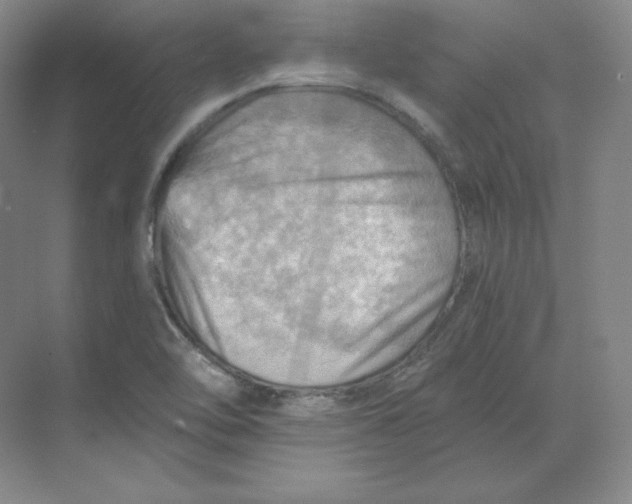 X0000068821462200605191820