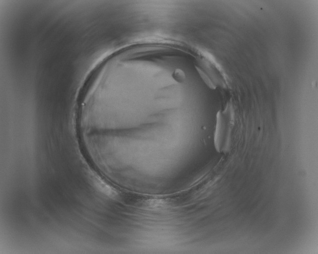 X0000068821463200605191820