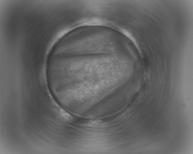 X0000068821464200605191820