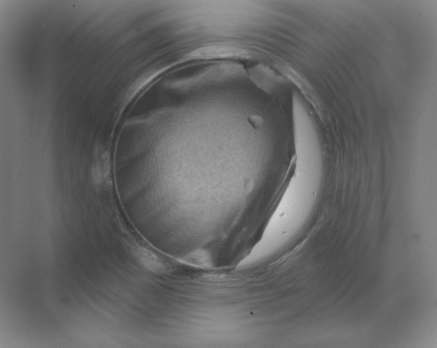 X0000068821465200605191820