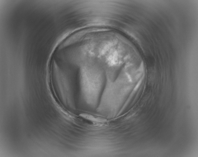 X0000068821467200605191820