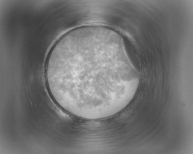 X0000068821470200605191820