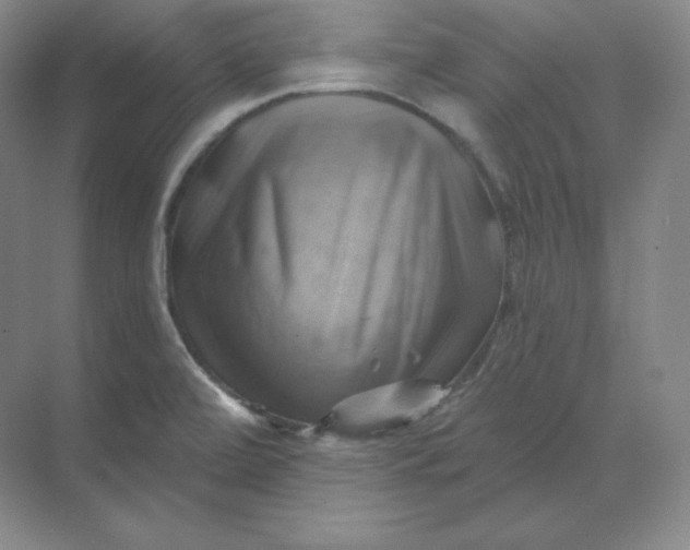 X0000068821472200605191820