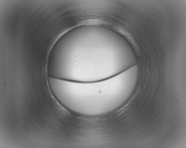 X0000068821473200605191820