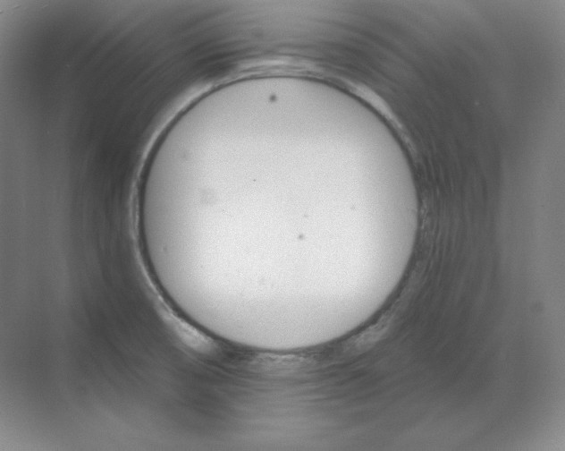 X0000068821474200605191820