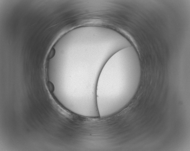 X0000068821475200605191820