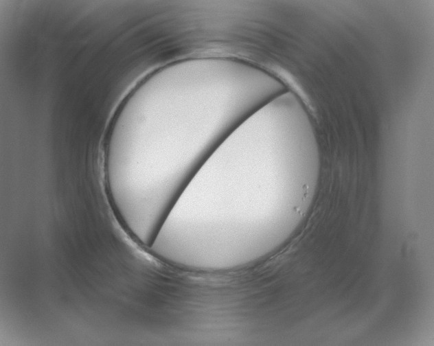 X0000068821476200605191820