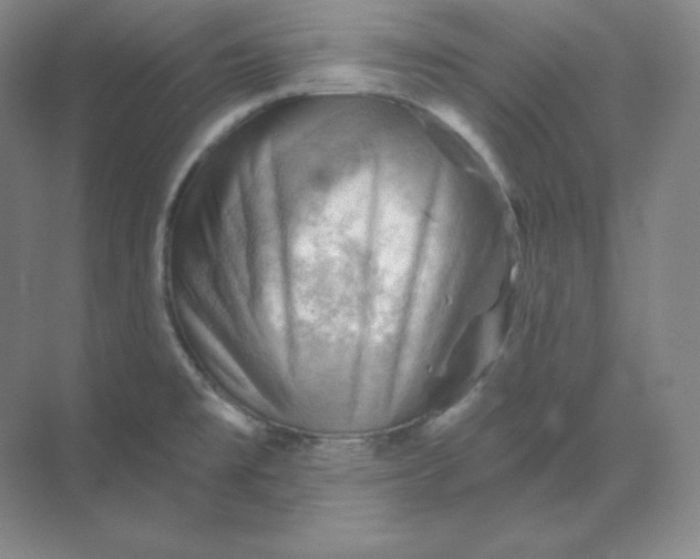 X0000068821477200605191820