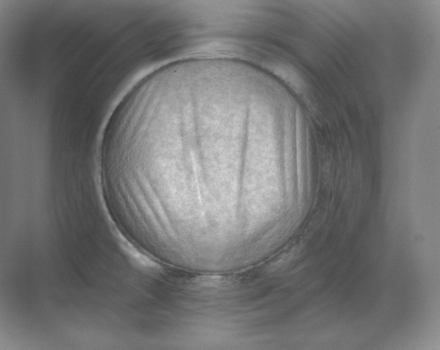 X0000068821478200605191820