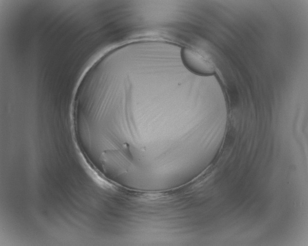 X0000068821482200605191820