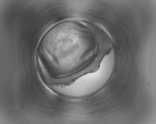 X0000068821484200605191820