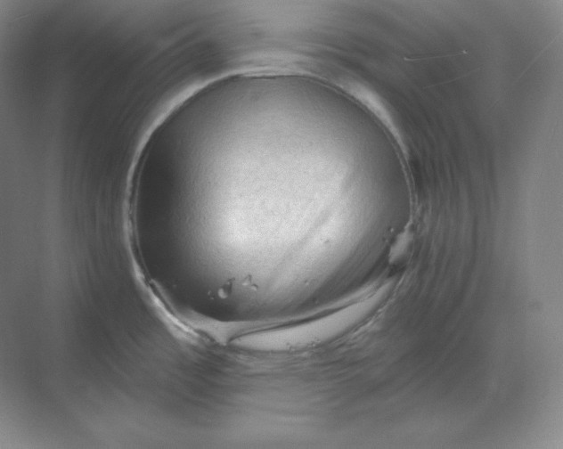 X0000068821485200605191820