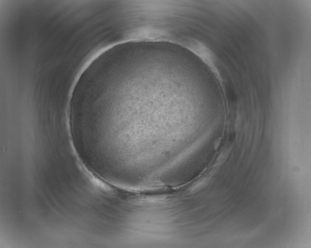 X0000068821486200605191820