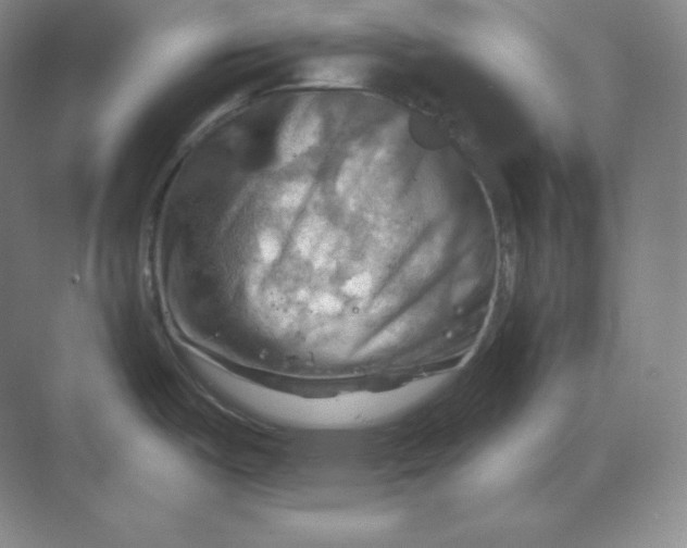 X0000068821487200605191820