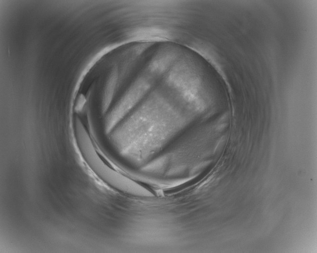 X0000068821488200605191820