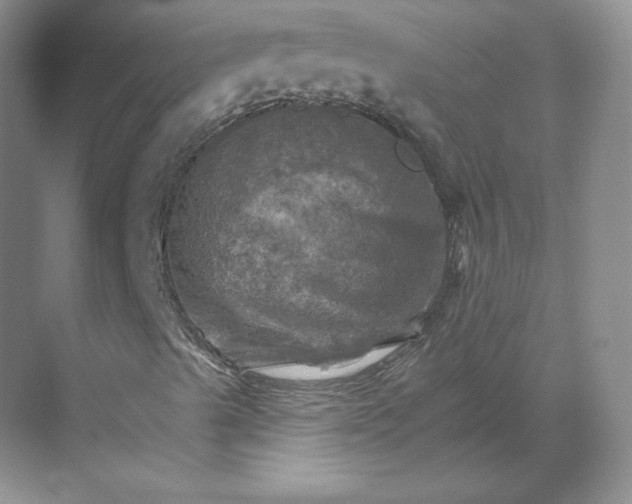 X0000068821489200605191819