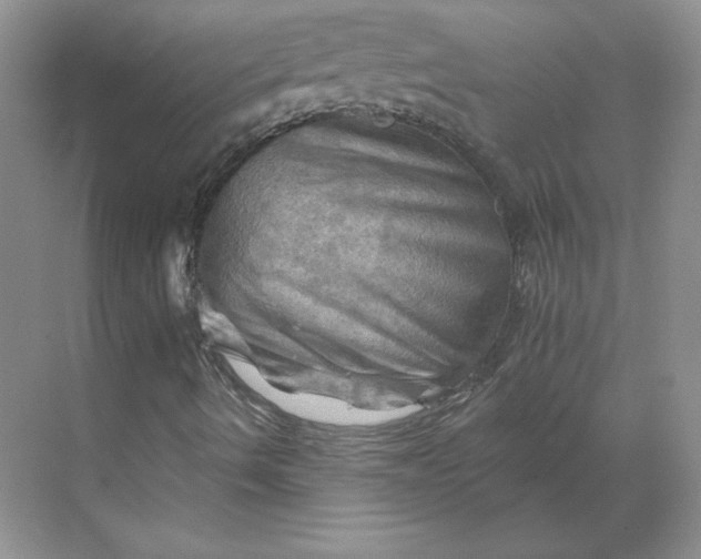 X0000068821490200605191819