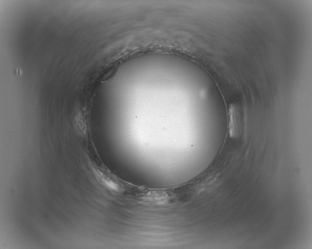 X0000068821491200605191819