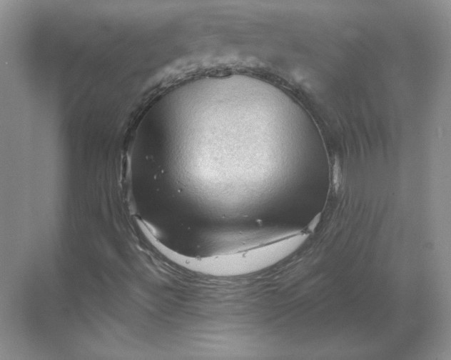 X0000068821492200605191819