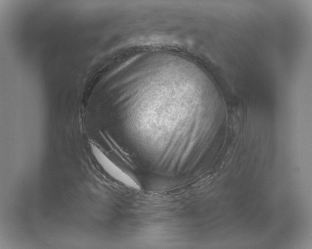 X0000068821493200605191819