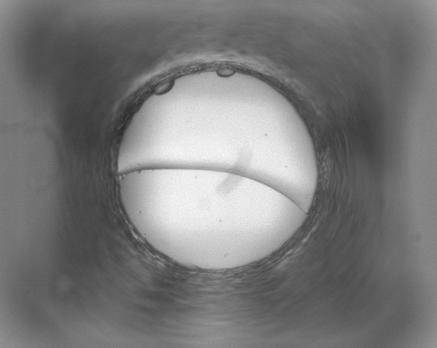 X0000068821494200605191819