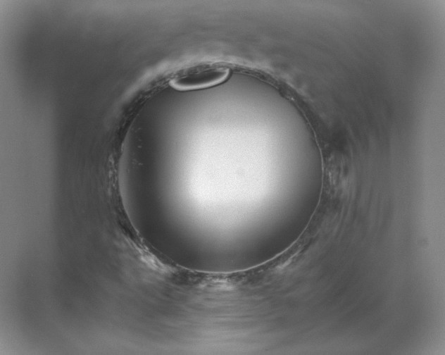 X0000068821495200605191819