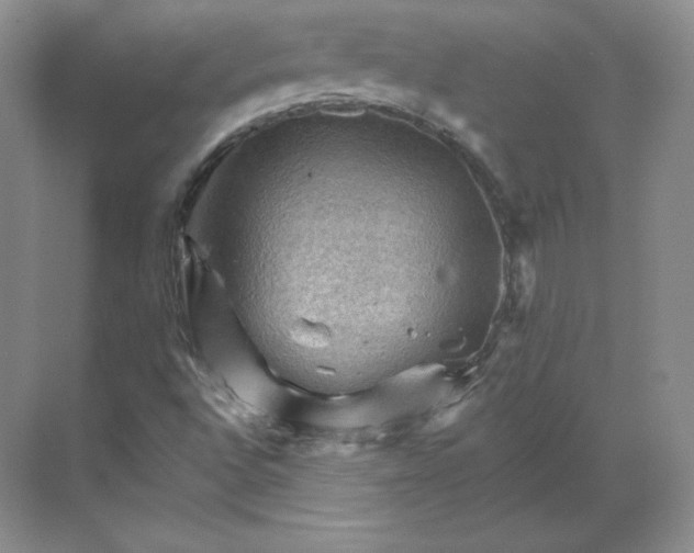 X0000068821496200605191819