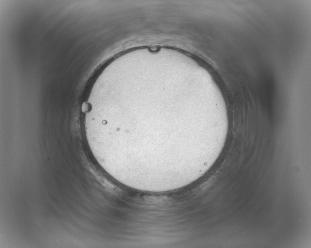 X0000068821498200605191819