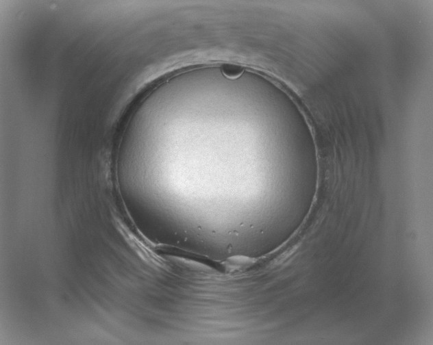 X0000068821499200605191819