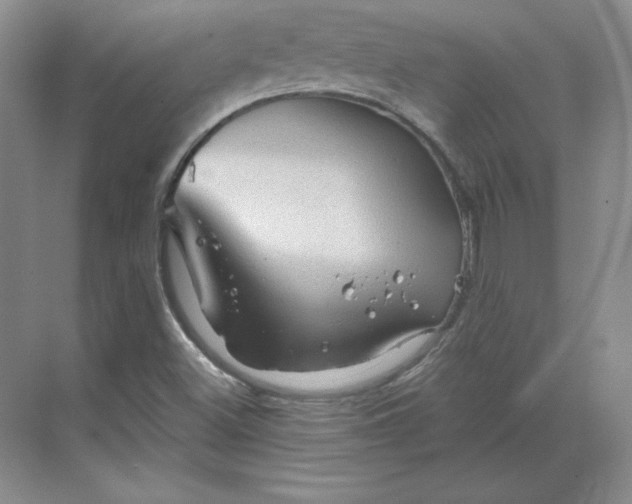 X0000068821500200605191819