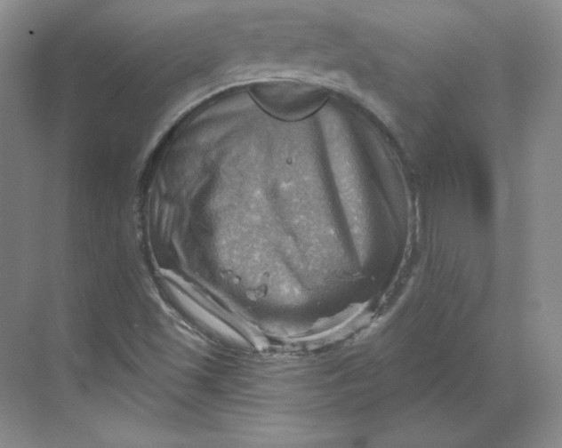 X0000068821501200605191819